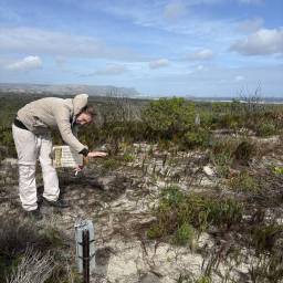 Setting up camera traps for the Overberg survey